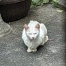 Фото профиля po
