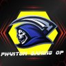 Profilbild von PHANTOM Gaming OP