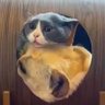 Profilbild von Le bureau le plus d'information