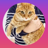 ruok231's profile picture