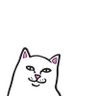 Ringgomie's profile picture