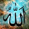 Zaheen 的头像