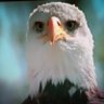 Profilbild von B BEN