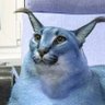 CHOBE's profile picture