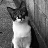 みー profil fotoğrafı