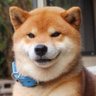 Profilbild von none