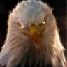 Profilbild von NM