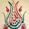 Hameed Ullah's profile picture