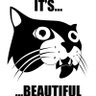 Dbc's profile picture