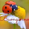 ΩNadietta88🍊🍊 profil fotoğrafı