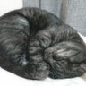 ãšã(å)'s profile picture