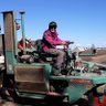 Delphine L.🚜🌽🐮🌾 的头像