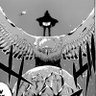 baerls's profile picture