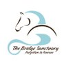 The Bridge Sanctuary profil fotoğrafı