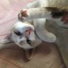 あやアヤ profil fotoğrafı