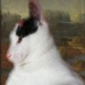 Profilbild von うちの猫