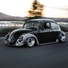 VWbugNuT 的头像
