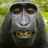 Pablo Hernandez's profile picture