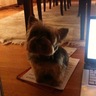 Profilbild von Binky
