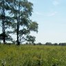 Profilbild von Forested Plains