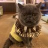 ちょう0913(chosan_0913) profil fotoğrafı