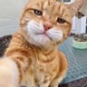 Profilbild von 郭先森