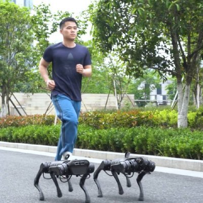 IrvingRobotics's profile picture