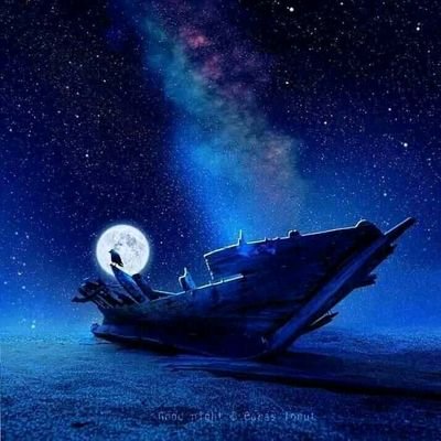 Sci_Nature0's profile picture