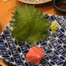ざらめちゃんの割り箸🦖🍐MOD梨木's profile picture