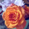 karem profil fotoğrafı