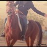 Фото профиля ANAD🐎