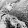 Profilbild von Jutta