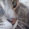 jazzy profil fotoğrafı