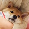 vhjvrth's profile picture