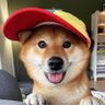 Franklin's profile picture