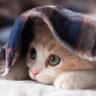 Фото профиля JJ aka แงวที่ยังติ่งอยู่แต่ไม่มีเวลา
