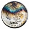 Michael C's profile picture