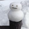 Profilbild von テふテふｨ