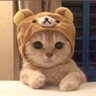 เจ้าหญิง จ้า 的头像