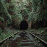 Фото профиля ex_adverso_solitudinis