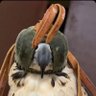 ﮼س's profile picture
