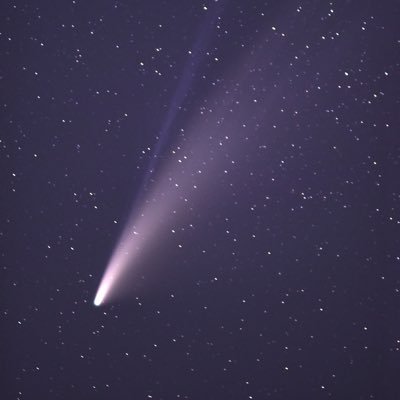 risingxmoonfoto's profile picture