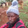 Bethwel Kipkoech Yatich somoei 的头像