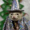 Bullen's profile picture
