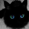 紫藍彎刀 profil fotoğrafı