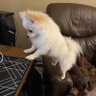 Brothel Taco's profile picture