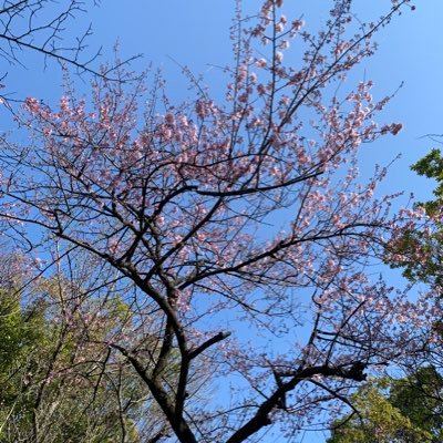 atu0511's profile picture