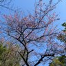 ひろ【日本を愛する仲間たち】's profile picture