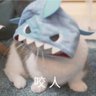 陳 profil fotoğrafı