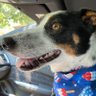 Eddie's profile picture